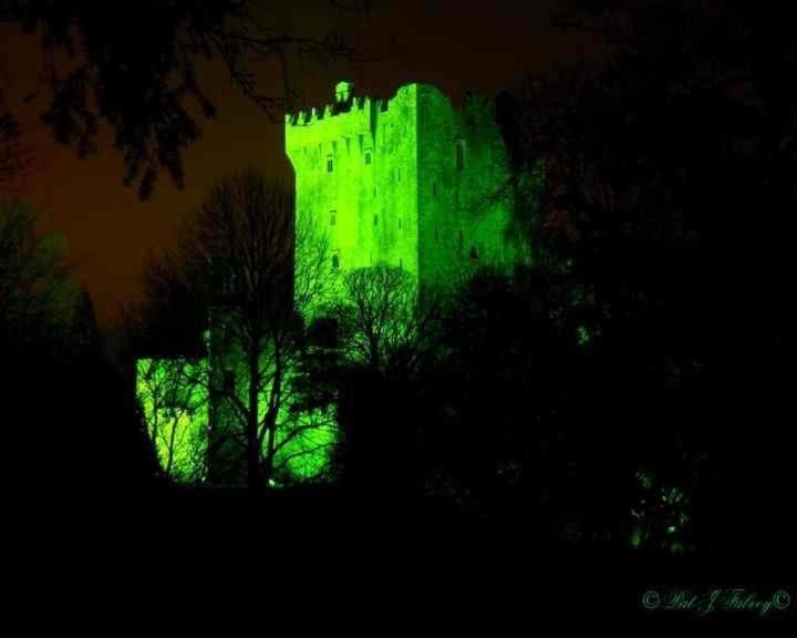 Blarney Castle Hotel Dış mekan fotoğraf